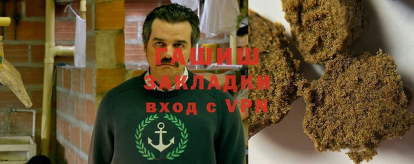 гидра Вязьма